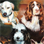Painting of a groulp of dogs